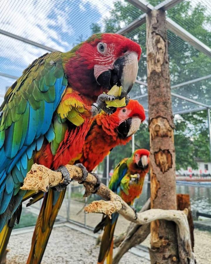 Penzion Eko Park Piestany Ngoại thất bức ảnh